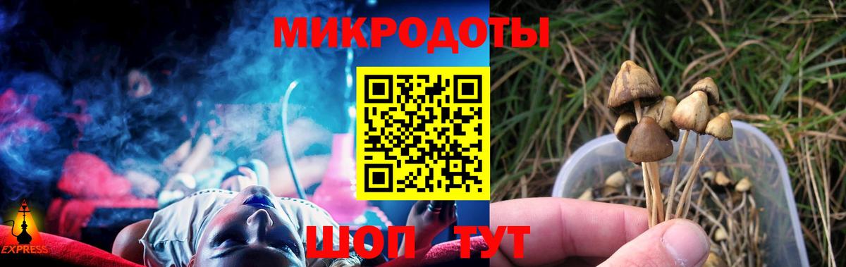 Галлюциногенные грибы мицелий Лесозаводск